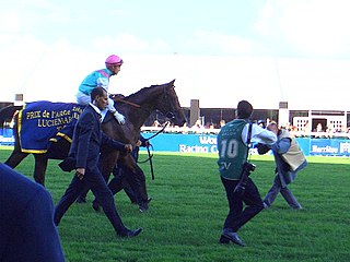 <span class="mw-page-title-main">Rail Link (horse)</span> British-bred Thoroughbred racehorse