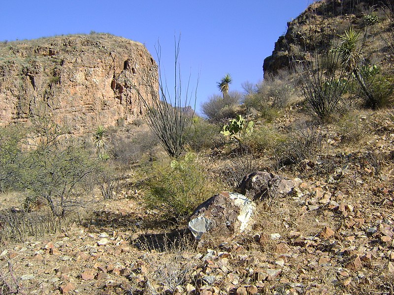 File:Rio Nazas, Durango (5729849754).jpg