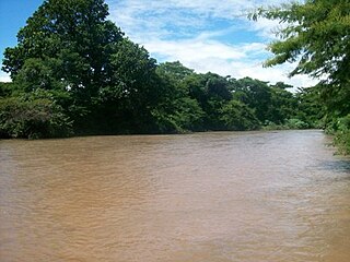 <span class="mw-page-title-main">Cesar River</span> River in Cesar Department, Colombia