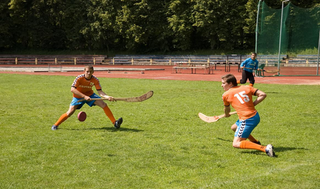 <span class="mw-page-title-main">Ritinis</span> Traditional Lithuanian team sport