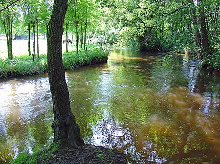 River Swalm