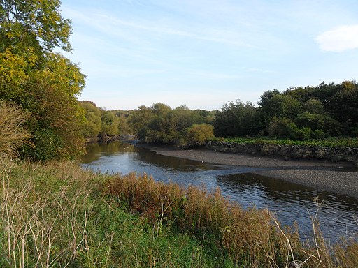 River Wear at Fatfield - geograph.org.uk - 2733518