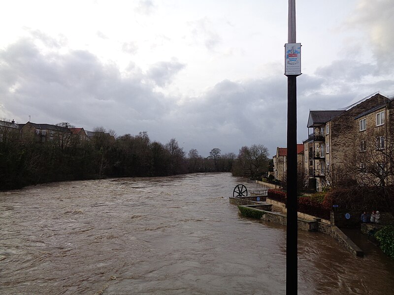 File:River Wharfe having burst its banks at Wetherby during Storm Eva (26th December 2015) 005.JPG