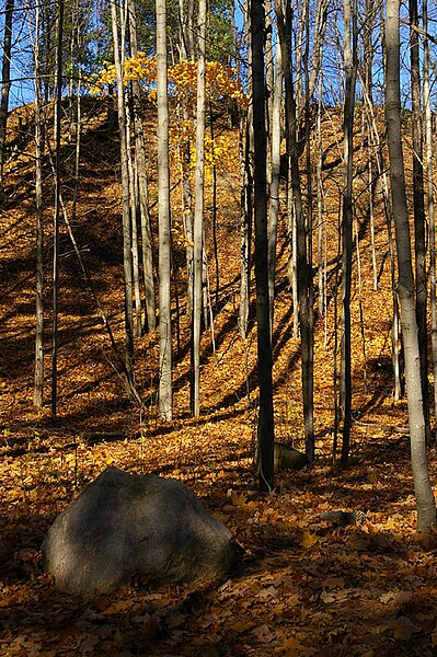 File:Rouge Park (6582928611).jpg