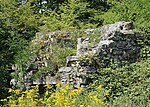 Vorschaubild für Ruine Göskon