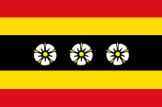 Vlag