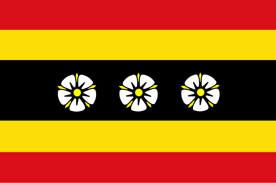 File:Ruinen vlag.svg