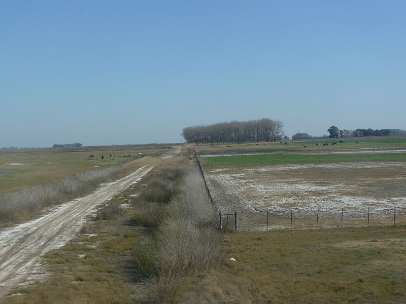 File:Ruta Fortín Olavarría - Trenque Lauquen 46.JPG