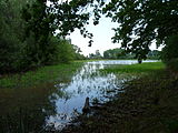 Čeština: Rybník Zdráhanka západně od vsi Haklovy Dvory, okres České Budějovice. English: Zdráhanka pond west of the village of Haklovy Dvory, České Budějovice District, Czech Republic.