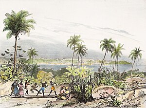 San Salvador, 1835, by Rugendas. "The scene is set in a clearing surrounded by tropical vegetation and palm trees, corresponding precisely to the space called capoeira in Brazil." San-Salvador, da Colecao Brasiliana Iconografica.jpg