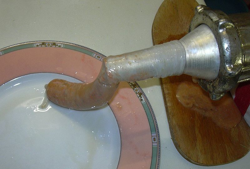 File:Saucisse2.JPG