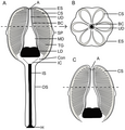 Vorschaubild der Version vom 14:49, 26. Jan. 2012