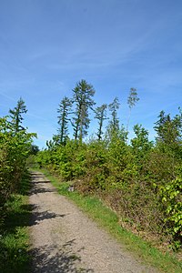 Schleswig-Holstein, Mildstedt, Naturerlebnisraum NIK 6603.jpg