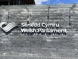 Parlemen Wales: Sejarah, Catatan, Lihat pula