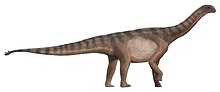 Shunosaurus için küçük resim