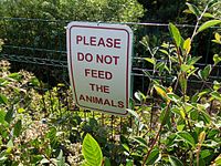 Sign advising not to feed the animals.jpg