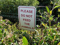 Animals please