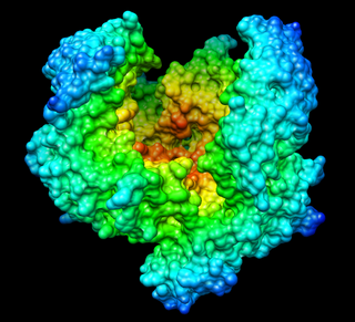 <span class="mw-page-title-main">Streptokinase</span> Pharmaceutical drug