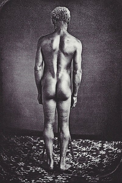 File:Slave Portrait Agassiz Zealy Man Standing Back.jpg