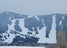 Schneekönig.jpg