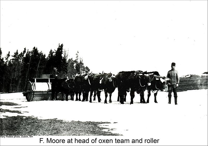 File:Snow Roller and Oxen Team in Dublin New Hampshire (5017786468).jpg