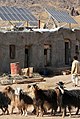 Solar panels in Sichanloo Takestan village, Qazvin (5 8909131555 L600).jpg