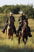 Border Patrol nahe McAllen