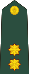 Sri Lanka-army-OF-1b.svg