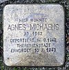 Piedra de tropiezo Kadettenweg 39 (Lifel) Agnes Michaelis.jpg