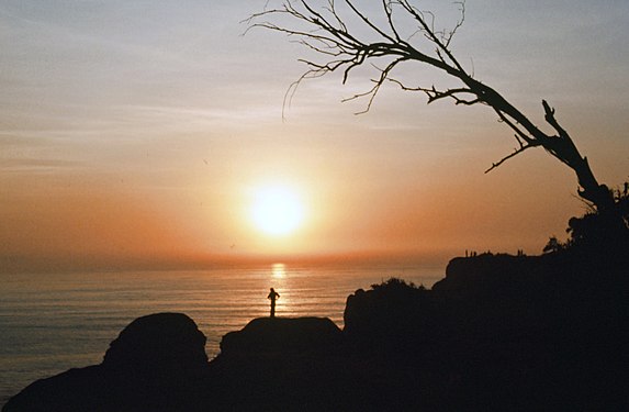 Sunset at Point Fermin, Califormia.