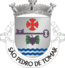 Escudo de São Pedro de Tomar