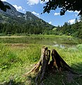 Vorschaubild der Version vom 12:45, 19. Aug. 2020