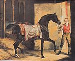 Théodore Géricault - Das Pferd geht aus dem Stall - ca1810.jpeg