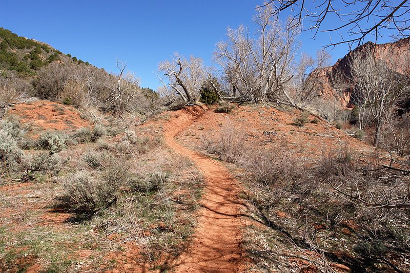 File:The 13 mile return trail, Kolob Canyons, Walk to the Kolob Arch (Zion National Park) (3440107772).jpg