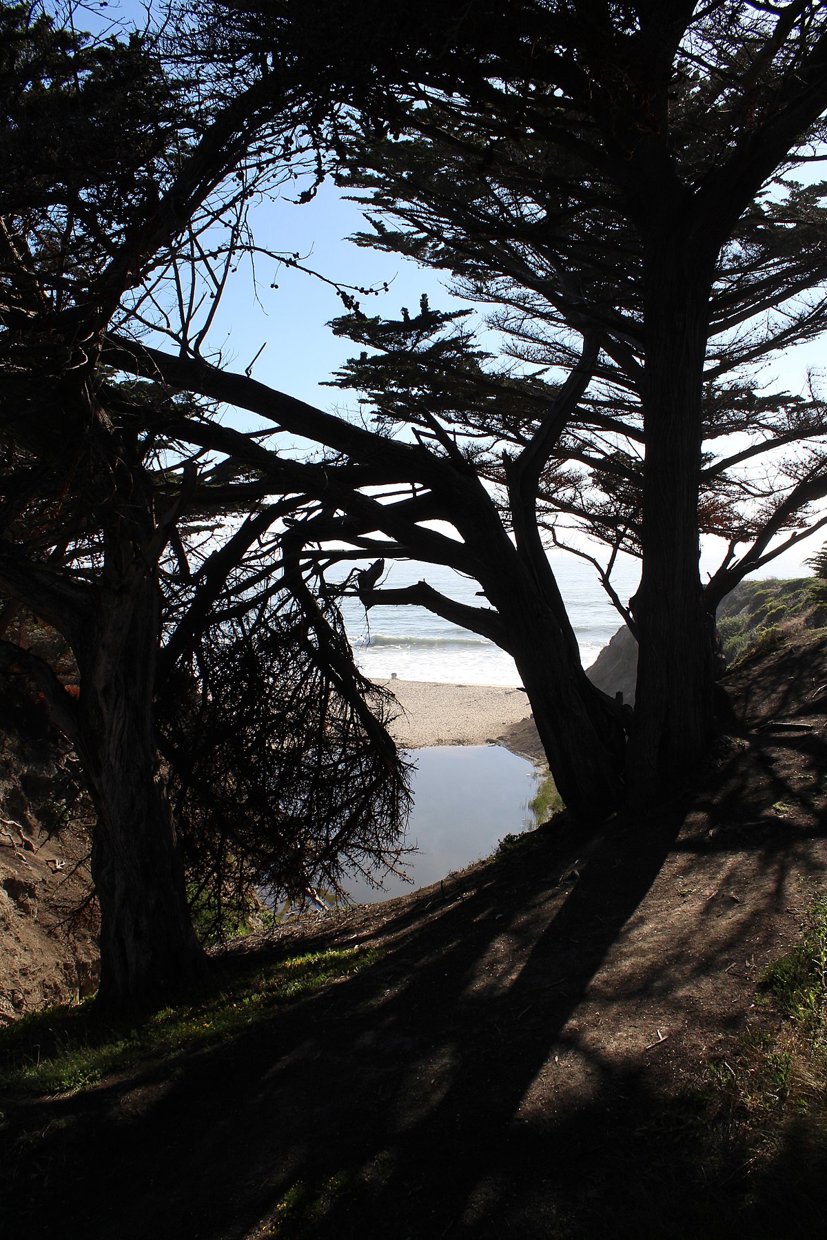 Ritz-Carlton Half Moon Bay - Wikipedia