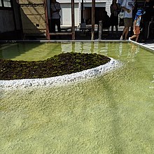 The Naoshima Plan 「水」の水庭