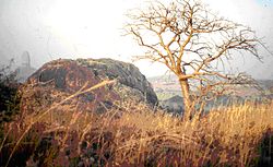 The sacred mountain of Mogode, place of the primordial habitation. Kapsiki.JPG