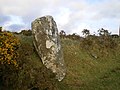 The western stone - geograph.org.uk - 1800595.jpg