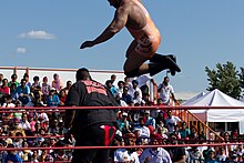 Singh (top) performing the Tiger Bomb on Viscera in 2013. Tiger Ali Singh bulldog.jpg