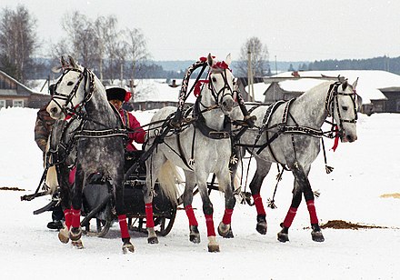 Troika pulling a sleigh.