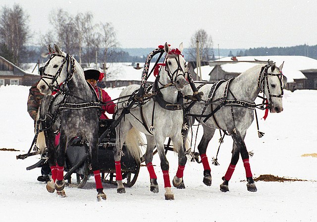 A troika, a traditional Russian sled combination