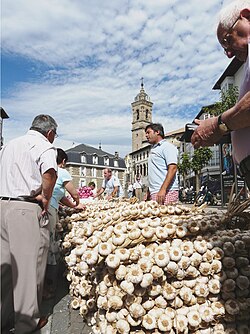 Ristras a la venta en Vitoria Gasteiz.