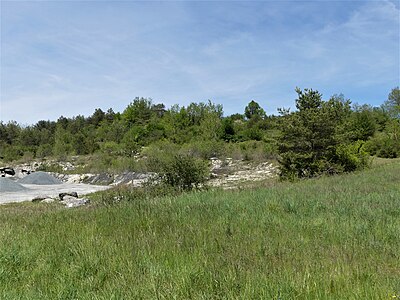 Ehemaliger Steinbruch im Ligèrien nördlich der D 939 bei Les Chambarrières