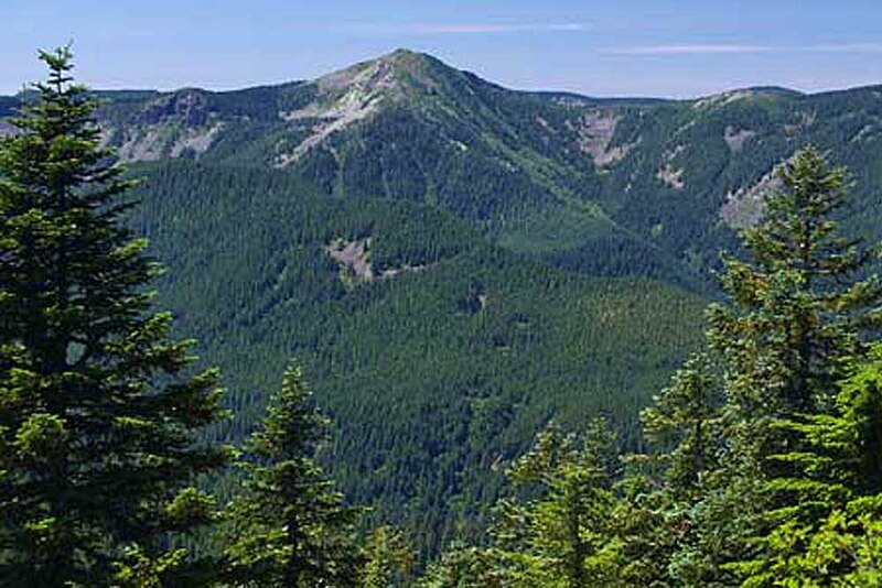 File:View of Mark O Hatfield Wilderness-Mt Hood (23808238142).jpg