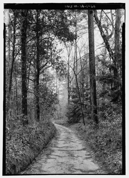 File:View of Old Sparta Road looking east (similar to HALS no. LA-1-26) - Briarwood- The Caroline Dormon Nature Preserve, 216 Caroline Dormon Road, Saline, Bienville Parish, LA HALS LA-1-60.tif