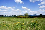 Kleiner Heuberg und Albvorland bei Balingen