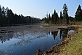 Paisutatud Rõuge jõgi endise ja tänapäevase maantee vahel