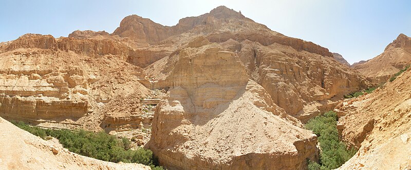 נחל ערוגות: נחל איתן במדבר יהודה