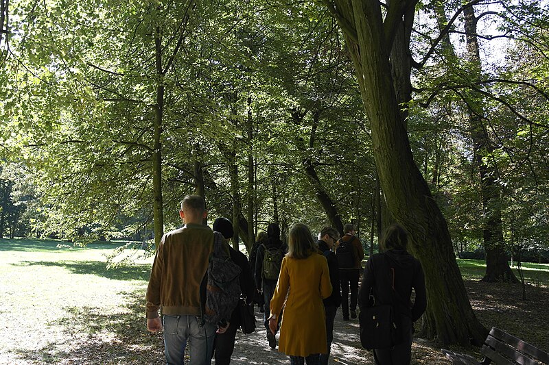 File:Walk in the Brochów Park, Wrocław.jpg