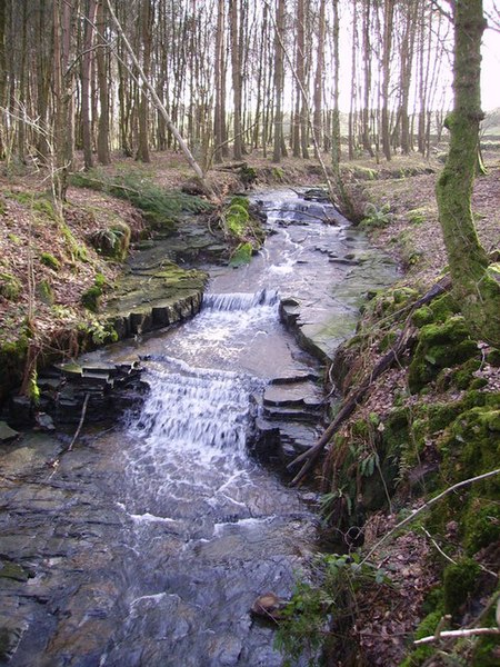 File:Waterfall, Claughton Beck - geograph.org.uk - 338886.jpg